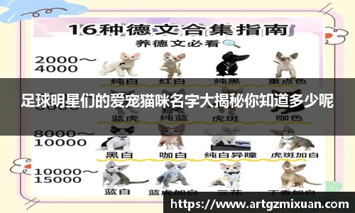 足球明星们的爱宠猫咪名字大揭秘你知道多少呢