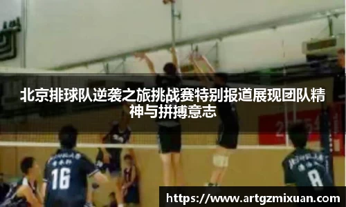 北京排球队逆袭之旅挑战赛特别报道展现团队精神与拼搏意志